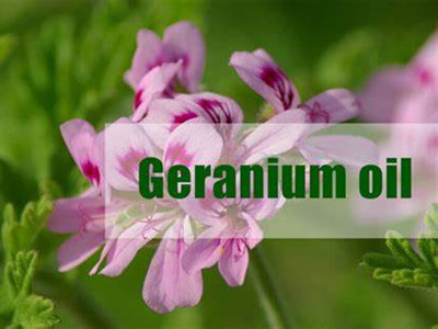 Geranium oil