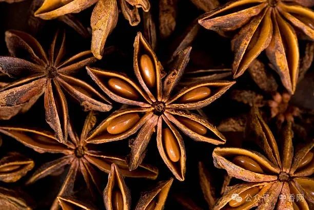 Aniseed Oil and Cinnamon Oil: Current Price Trends and Market Analysis