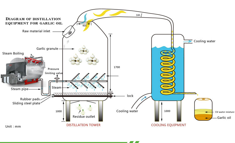 wanschemicals Steam Distillation Technique for Garlic Oil Production wanschemicals Steam Distillation Technique for Garlic Oil Production