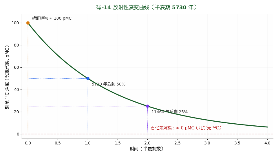 碳-14活度随五个半衰期的指数衰变曲线,从100%现代碳降至趋近于零